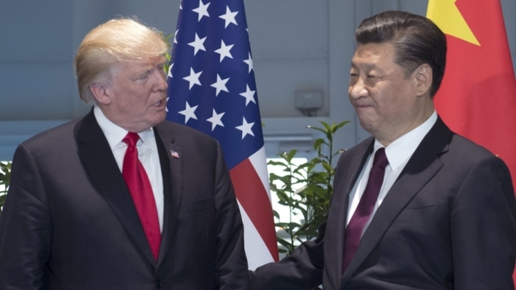 donald_and_cine.jpg