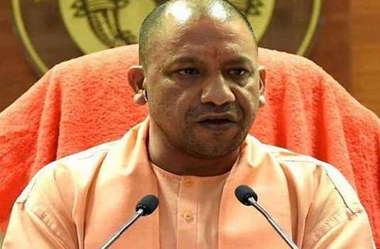 yogi.png