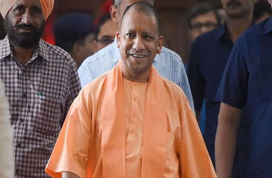 yogi.png