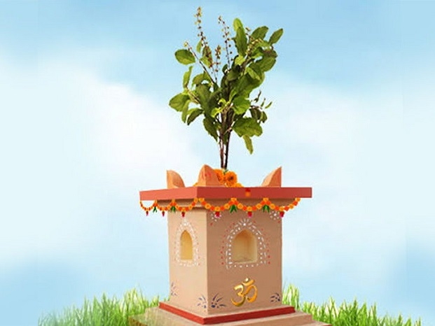 tulsi_Devuthani_Ekadashi.jpg
