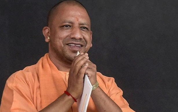 yogi.png