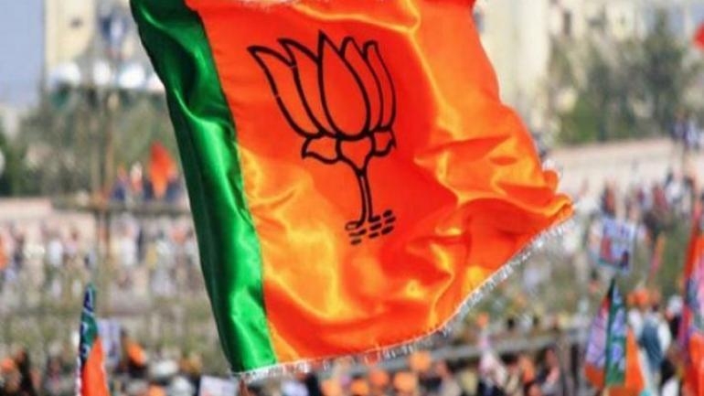 bjp_.jpeg