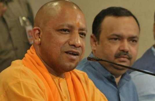 yogi.png
