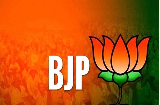 bjp_1.png