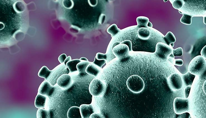 corona_virus.png